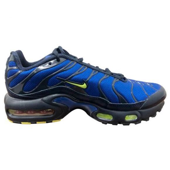 nike air max plus hyper royal